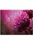 Lila Rengi Çiçek Yakın Çekim Flu Arkaplan 120 Parça Puzzle Yapboz Mdf (Ahşap) 1