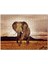 Savana'da Günbatımı ve Erkek Fil 120 Parça Puzzle Yapboz Mdf (Ahşap) 1