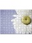 Papatya Yakın Çekim Gökyüzü Arkaplan 120 Parça Puzzle Yapboz Mdf (Ahşap) 1