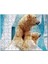 Buzdağı Önündeki Kutup Ayıları 120 Parça Puzzle Yapboz Mdf (Ahşap) 1