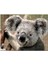 Ağaçtaki Sevimli Koala Yakın Çekim 120 Parça Puzzle Yapboz Mdf (Ahşap) 1