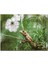 Yeşil Dallar Arasındaki Iguana Flu Arkaplan 120 Parça Puzzle Yapboz Mdf (Ahşap) 1