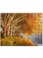 Sonbahar Rengi Ağaçlar ve Durgun Göl 255 Parça Puzzle Yapboz Mdf (Ahşap) 1
