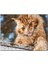 Yalanan Sarı Sevimli Kedi 500 Parça Puzzle Yapboz Mdf (Ahşap) 1
