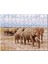 Afrika Savanada Filler Bir Arada 120 Parça Puzzle Yapboz Mdf (Ahşap) 1
