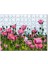 Çayırda Pembe Gelincikler ve Gökyüzü 120 Parça Puzzle Yapboz Mdf (Ahşap) 1