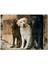 Kahve Krem ve Siyah Labradorlar 120 Parça Puzzle Yapboz Mdf (Ahşap) 1