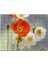 Kırmızı ve Beyaz Gelincikler Yakın Çekim 120 Parça Puzzle Yapboz Mdf (Ahşap) 1