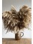 Dekoratif Natural 7'li Pampas 1
