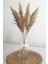 Kuru Çiçek Pampas Küçük 7'li Demet 50 cm (Natural) 2