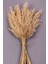 Kuru Çiçek Pampas 15 Adet 100 cm Boy - Naturel 1