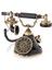 Siyah Çan Tuşlu Telefon 2