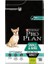 Pro Plan Adult Small Kuzu Etli Köpek Maması 3 kg 4