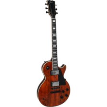 Gstyle Les Paul Elektro Gitar (Taşıma Çantası )