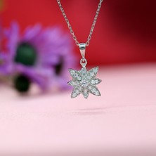 Beyaz Taşlı Kutup Yıldızı Gümüş Kolye