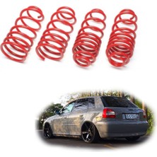 Coil-Ex Audi A3 Spor Yay Helezon 45MM/45MM 1996-2003 Coil-Ex