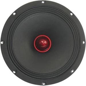 RDH-M200PRO 250 Watt 20 cm Oto Hoparlör 2li Takım
