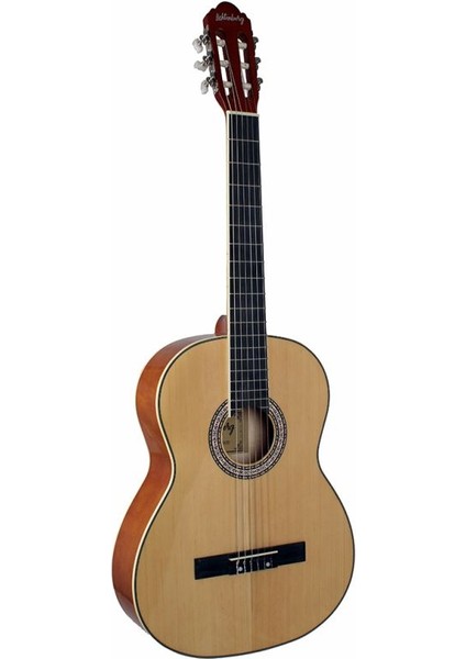 LC-160 Nt Kasik Gitar (Taşıma Çantası)