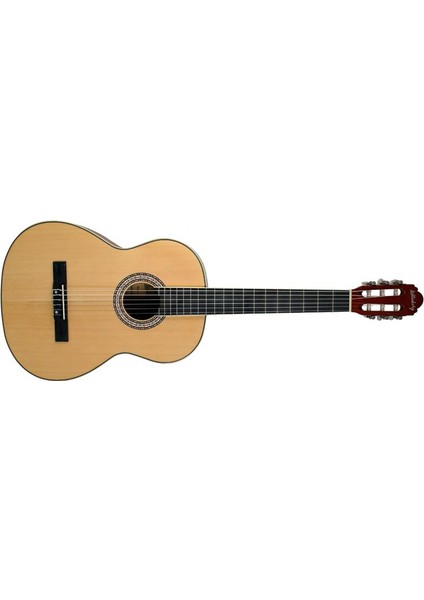 LC-160 Nt Kasik Gitar (Taşıma Çantası)