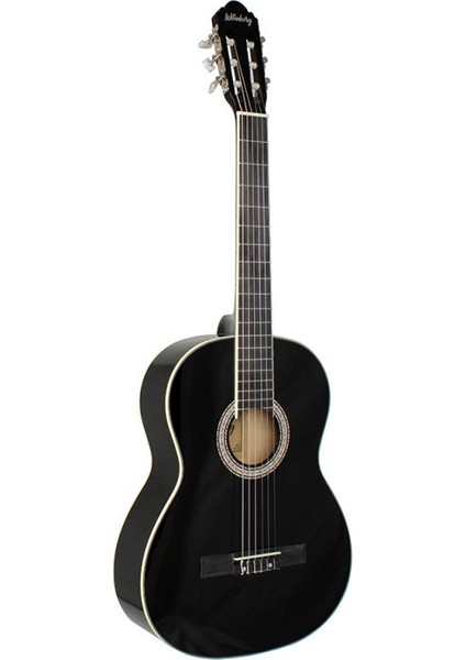 LC-160 Bk Kasik Gitar (Taşıma Çantası )