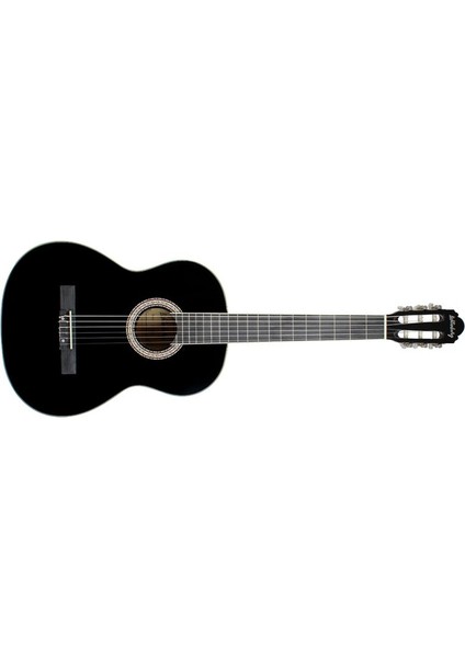 LC-160 Bk Kasik Gitar (Taşıma Çantası )