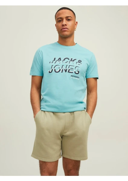 Jack & Jones Erkek Baskılı Tişört 12213769