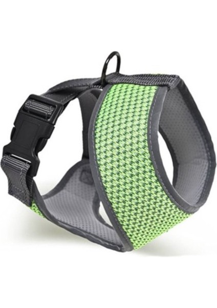 Finix Köpek Gövde Tasması Yeşil Xl