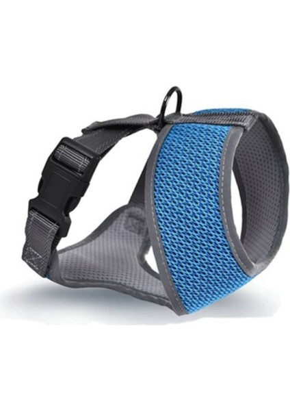 Finix Köpek Gövde Tasması Mavi Large