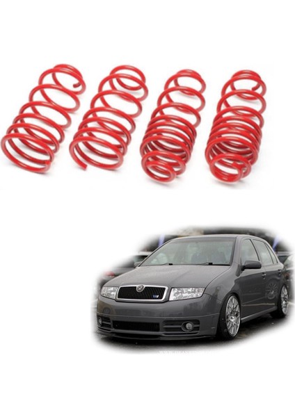 Skoda Fabia Spor Yay Helezon 45MM/45MM 2000-2008 Coil-Ex
