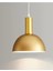 Retro Metal Gold Dekoratif Rustik Kafe Mutfak Sarkıt Avize Çap 30 cm 1