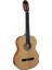 LC-160 Nt Kasik Gitar (Taşıma Çantası) 1