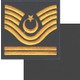 Seçili Renk Asker Desen