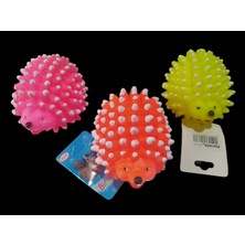 İlkay Petshop Köpek Diş Kaşıma & Oyuncak&kirpi 3 Adet