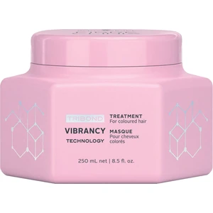 Fibre Clinix Vibrancy - Boyalı Saçlar Bakım Maske 250 Ml.