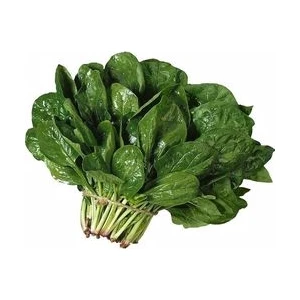 Grass Seed Iüspanak Tohumu 500 gr