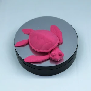 3D Hareketli Kaplumbağa Figürlü Oyuncak - Pembe