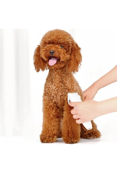 Xiaomi Mijia Pawbby Pet Tıraş Makinesi 2000MAH Ayrılabilir (Yurt Dışından)