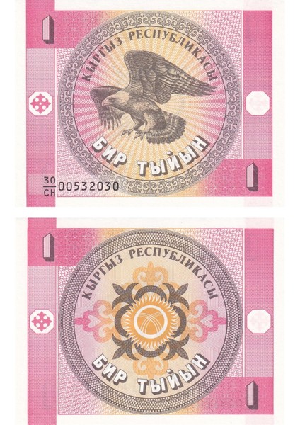 Kırgızistan, 1 Tyiyn (1993) P#1 Çil Eski Yabancı Kağıt Para