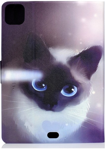 Ipad Pro 11 Inç 2020 Için Deri Kılıf (Blue Cat's Eye) (Yurt Dışından)