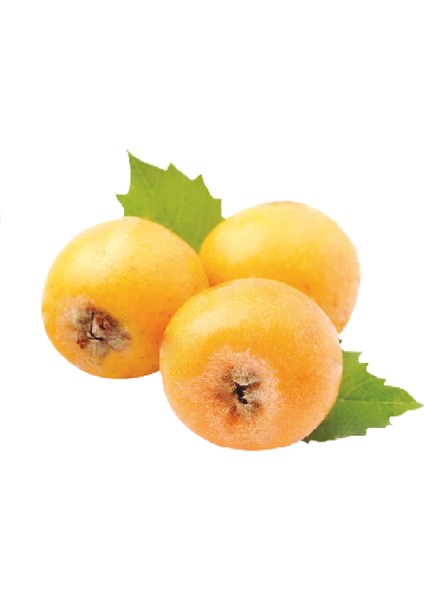 Alıç Marmelatı 600 gr fiyatları