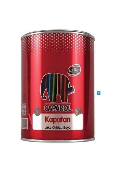 Caparol Kapatan 2,5 Lt.