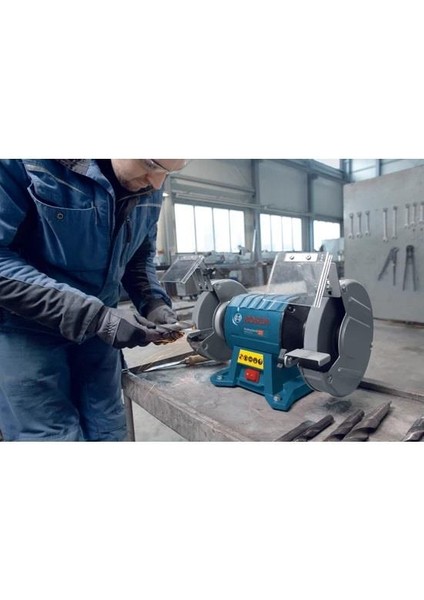 Professional Gbg 60-20 Taş Motoru 060127A400