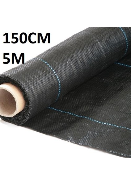 Siyah Çilek 150CM
