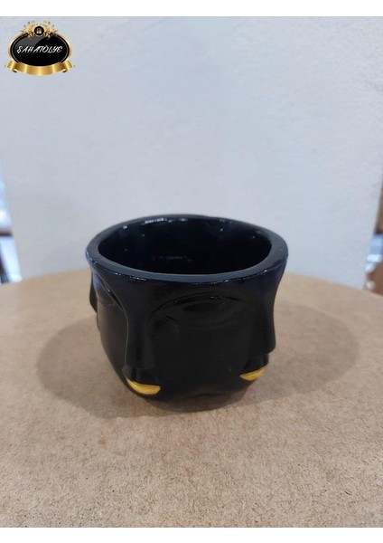 Çok Yüzlü Skulent Saksı