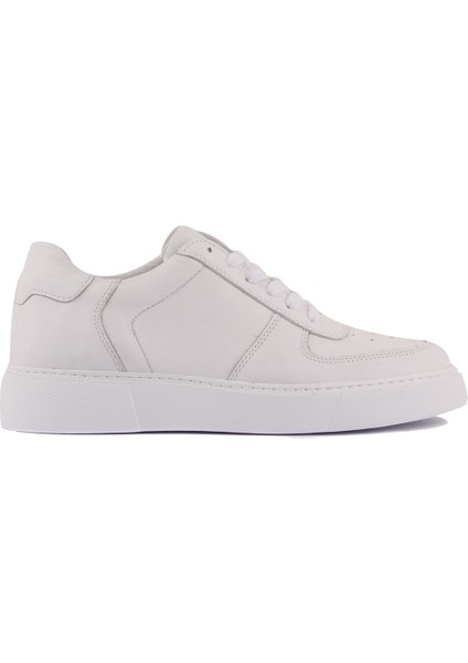 Sail Lakers - Beyaz Deri Erkek Sneaker