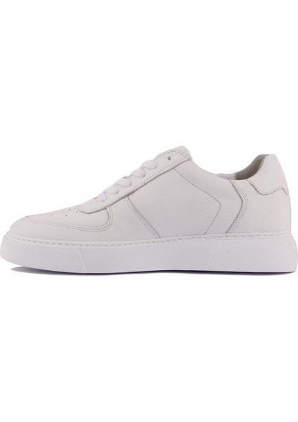Sail Lakers - Beyaz Deri Erkek Sneaker