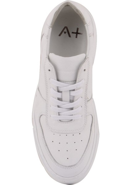 Sail Lakers - Beyaz Deri Erkek Sneaker