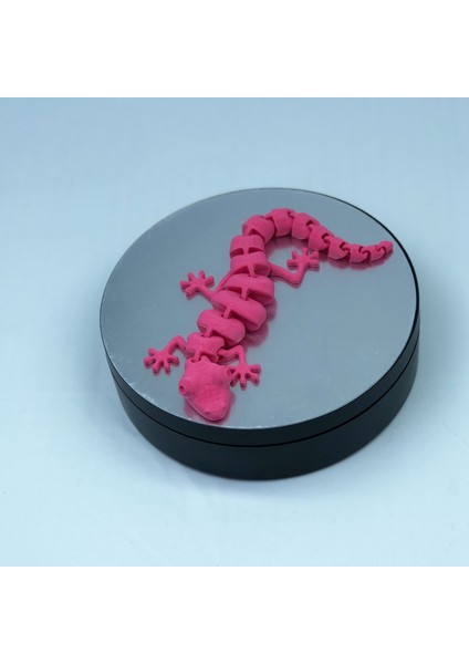 3D Hareketli Kertenkele Figürlü Oyuncak modelleri