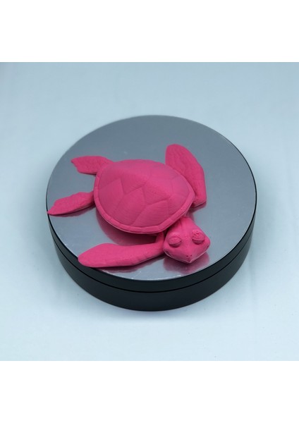 3D Hareketli Kaplumbağa Figürlü Oyuncak - Pembe