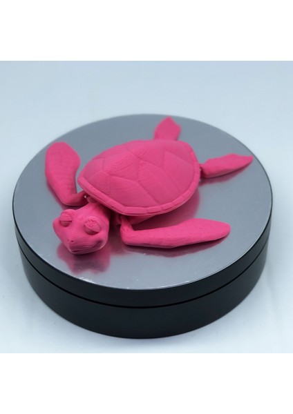 3D Hareketli Kaplumbağa Figürlü Oyuncak - Pembe modelleri